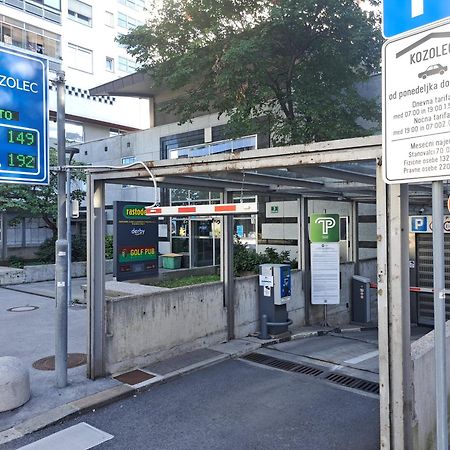 Slovenian Art Story Διαμέρισμα Λιουμπλιάνα Εξωτερικό φωτογραφία